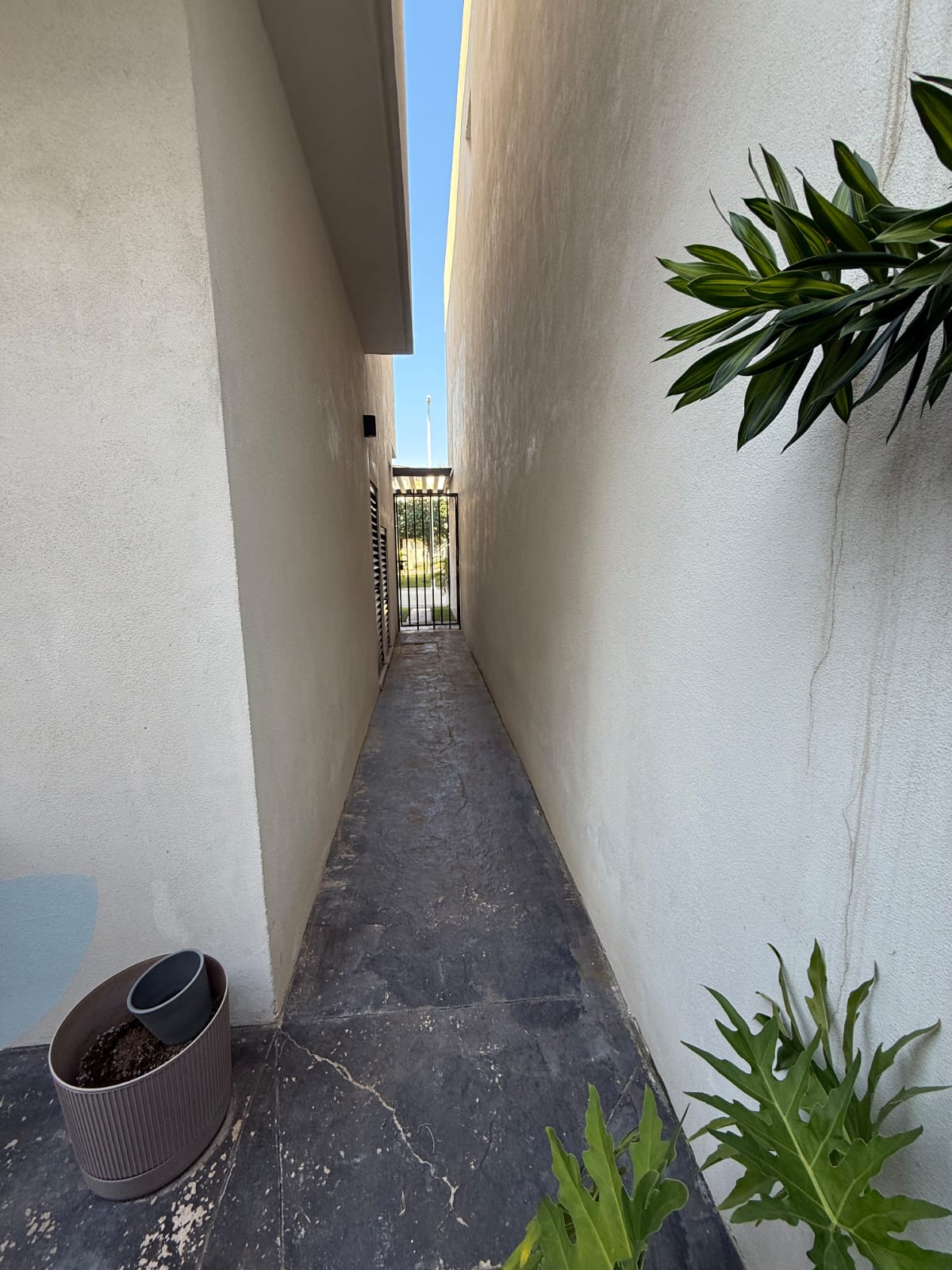 WhatsApp Image 2025-11-02 at 18.08.29 (1)